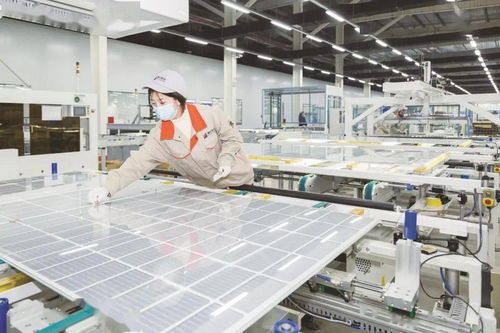 乘兩會東風 以營商沃土育新能之苗